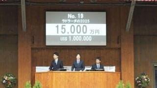 【ミックスセール2025】ダービー馬・レイデオロ半弟に1億5000万円の価格