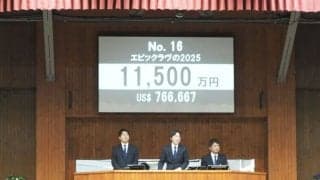 【ミックスセール2025】ダノンザキッド半弟は1億1500万円