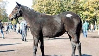 【ミックスセール2025】シゲルピンクルビーの2025は池谷誠一氏が5400万円で落札 母は21年フィリーズレビュー覇者