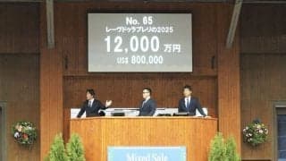 【ミックスセール2025】ゴールドシップ産駒が1億超え！レーヴドゥラプレリの2025