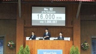 【ミックスセール2025】エピファネイア産駒に1億6000万円