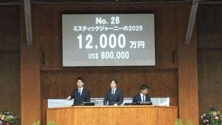 【ミックスセール2025】イクイノックス産駒、最後の上場馬は1億2000万円