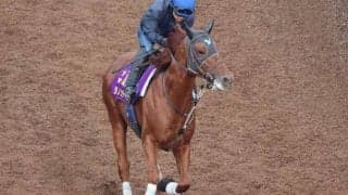 ダノンデサイルなど、先週の入厩情報/栗東トレセンニュース