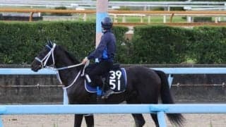 ショウリュウムーンの2023(ダノンテムズ)など、先週のゲート試験/栗東トレセンニュース