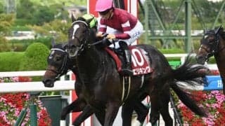 【菊花賞予想オッズ】エリキングが予想1番人気