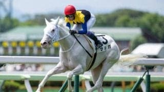 【アルテミスS予想オッズ】マルガが予想1番人気