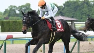 【菊花賞展望】前走惜敗組が狙い目！ショウヘイが最後のGI獲りへ