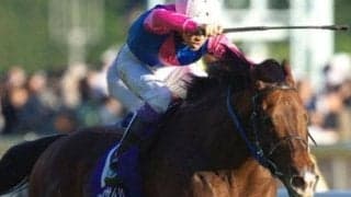 武豊騎手×メイショウでつかんだ秋の盾 メイショウサムソンの完勝劇