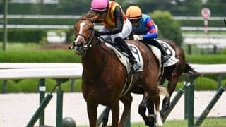 【ファンタジーS想定】フェスティバルヒルやブラックチャリスなど14頭