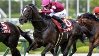 【菊花賞】中内田充正調教師が牡馬でのクラシック初制覇なるか 神戸新聞杯覇者のエリキングで参戦