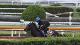 ロードデルレイなど、天皇賞(秋)1週前追い切り速報/栗東トレセンニュース