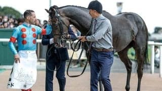 23年生まれの新馬戦は“2強”か ここまで複勝率73％と安定感抜群の騎手は？