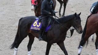 ミュージアムマイル、天皇賞(秋)1週前追い切り速報/栗東トレセンニュース