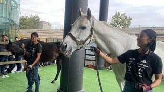 ヒルノダムールとダンカークが“二子玉”に！ Yogibo＆Yogiboヴェルサイユリゾートファームのイベントが開催