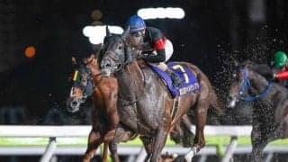 【大井・マイルグランプリ結果】7歳馬ゴールドレガシーが重賞初制覇