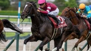 【菊花賞予想】クラシック三冠最終戦は前走着順に注目 AIは意外な実績上位馬を指名