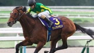 C.ルメール騎手の菊花賞歴代最多タイ5勝目なるか 初勝利の2016年を振り返る