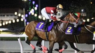 【ブリーダーズカップ2025】JRA所属馬7頭が予備登録…フォーエバーヤング、アリスヴェリテらが名を連ねる
