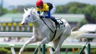 【アルテミスS出走馬・騎手確定】マルガ＆武豊騎手、フィロステファニ＆川田将雅騎手など10頭