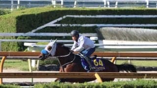 メイショウタバル、天皇賞(秋)1週前追い切り速報/栗東トレセンニュース