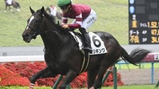 【菊花賞・調教後馬体重】エリキングは512kg、エネルジコは460kg