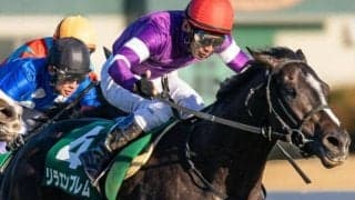 友道康夫厩舎の5.9億円馬 エムズビギンが菊花賞デーに新馬勝ちなるか