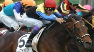 おじはディープインパクト ヴァンデスペランスがデビュー勝ちなるか