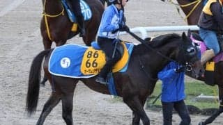 オーサムリザルト、JBCレディスC1週前追い切り速報/栗東トレセンニュース