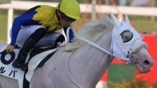 半姉はソダシ＆ママコチャ カルパが連勝なるか