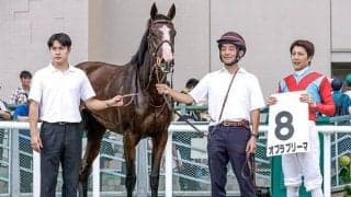 芝中長距離で好成績 新馬戦は新進気鋭の調教師に注目だ