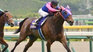 母はGI・3勝のメイショウマンボ メイショウランケイが新馬勝ちなるか