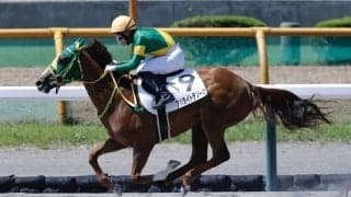 【エーデルワイス賞】JRA勢4頭、地元北海道勢との激突へ…2歳牝馬ダート女王決定戦、出走予定馬発表