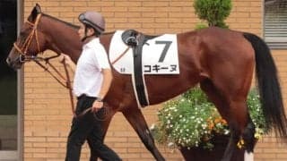 金子真人オーナーゆかりの良血馬 4歳のコキーヌが1年2カ月ぶりの実戦で初勝利狙う