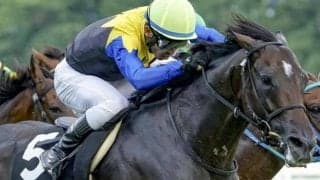 菊花賞は「前走新潟芝2200m組」に注目 今年はアマキヒ＆ゲルチュタールが参戦