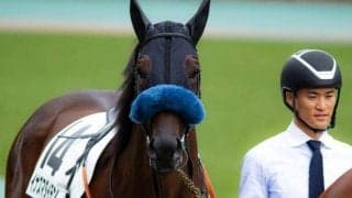 「ウマ娘」藤田晋オーナーの1億円馬 イナズマダイモンが初勝利なるか