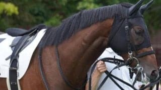 今週の武豊騎手は11鞍 マイユニバースで菊花賞の6年ぶり6勝目なるか