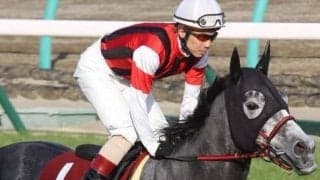 半兄は香港G1・2勝のウインブライト ウインスターリングがデビュー勝ち狙う