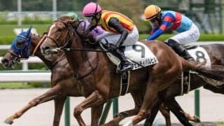 【ファンタジーS想定馬・騎手】フェスティバルヒル、ブラックチャリスなど16頭