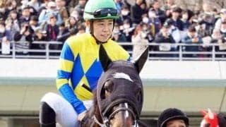 東京ダートはストームキャット系に注 河口湖特別はロジアデレードが狙い目だ