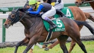 リスグラシューの弟2頭 土曜京都で同日Vなるか