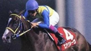 エアグルーヴ一族出身の良血 ウップヘリーアがC.ルメール騎手でデビュー勝ち狙う