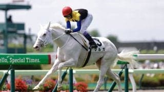 武豊騎手 今週の騎乗馬…白毛馬マルガと重賞参戦