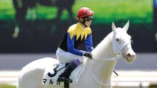 【武豊日記】気持ちも体も充実しています