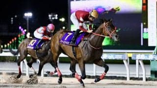 【ブリーダーズカップ2025】フォーエバーヤングら日本馬がデルマー競馬場へ無事到着　