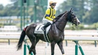 【今日の注目ポイント】東京で2歳牝馬限定重賞アルテミスS