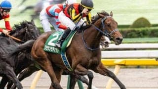 【アルテミスS】距離延長組は大苦戦 注目すべき複勝率38%の条件とは？