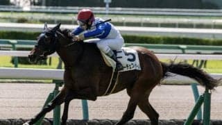 【アルテミスS予想】素質高い2歳牝馬が顔を揃える一戦 暮れの女王決定戦に駒を進めるのは