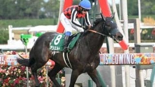 24年中日新聞杯覇者デシエルトが登録抹消 今後は未定