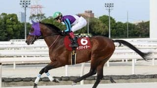 【園田競馬】イグナイター引退式を11月6日に実施