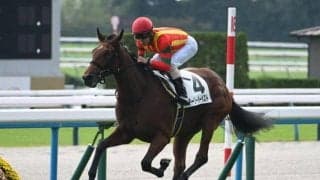 【京都5R新馬戦結果】アドマイヤマーズ産駒アーリーハーベストが快勝